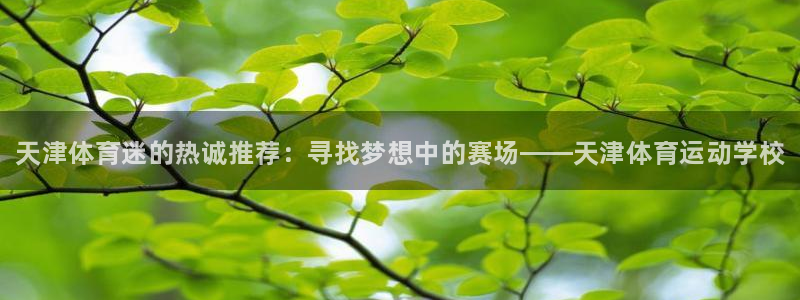 一竞技官网下载招商电话地址是多少:天津体育迷的热诚推荐:寻找