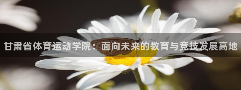 一竞技官方正版app集团简介:甘肃省体育运动学院:面向未来的