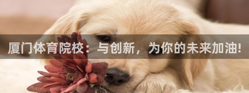 一竞技官方正版app娱乐网站:厦门体育院校:与创新,为你的未