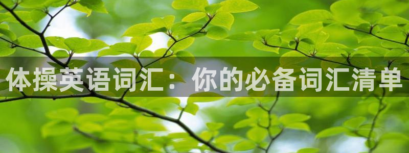 一竞技官网下载招商电话地址是多少:体操英语词汇:你的必备词汇