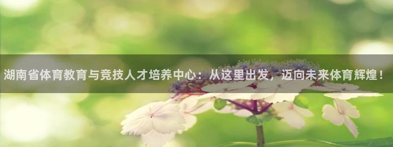 一竞技官方正版app娱乐首页网站大全:湖南省体育教育与竞技人