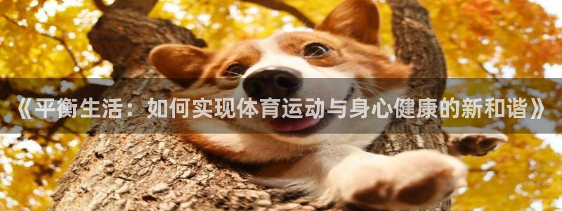一竞技官方正版app娱乐首页网站大全:《平衡生活:如何实现体