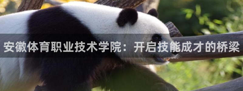 一竞技官网下载招商电话是多少:安徽体育职业技术学院:开启技能